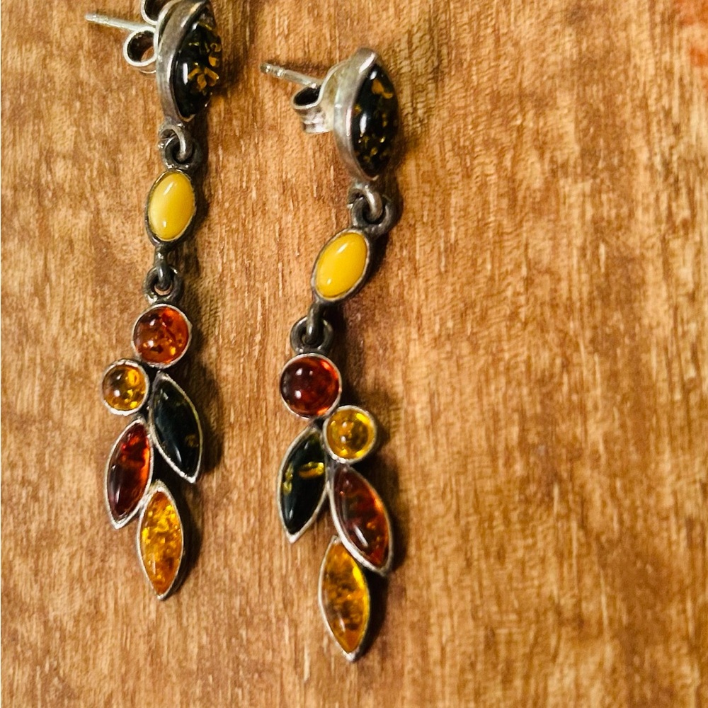 Elegant Multicolor Dangle Earrings